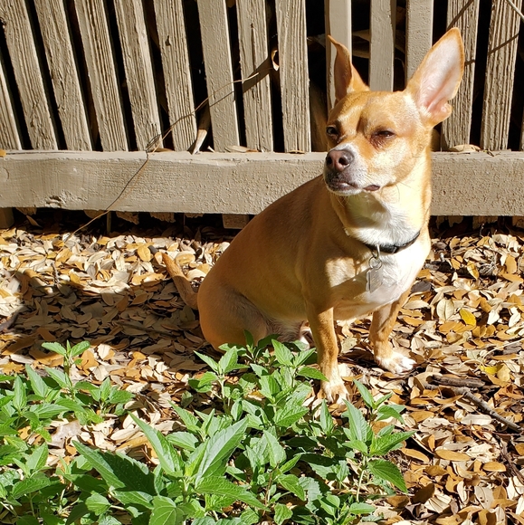 Meet your Posher, Jessica - Picture 6 of 6